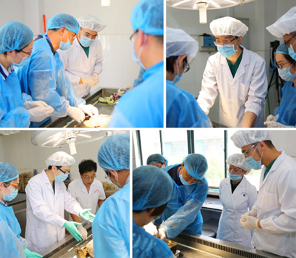 A group of medical professionals, wearing surgical gowns and masks, work together in a well-lit operating room, examining a patient or conducting a medical procedure.