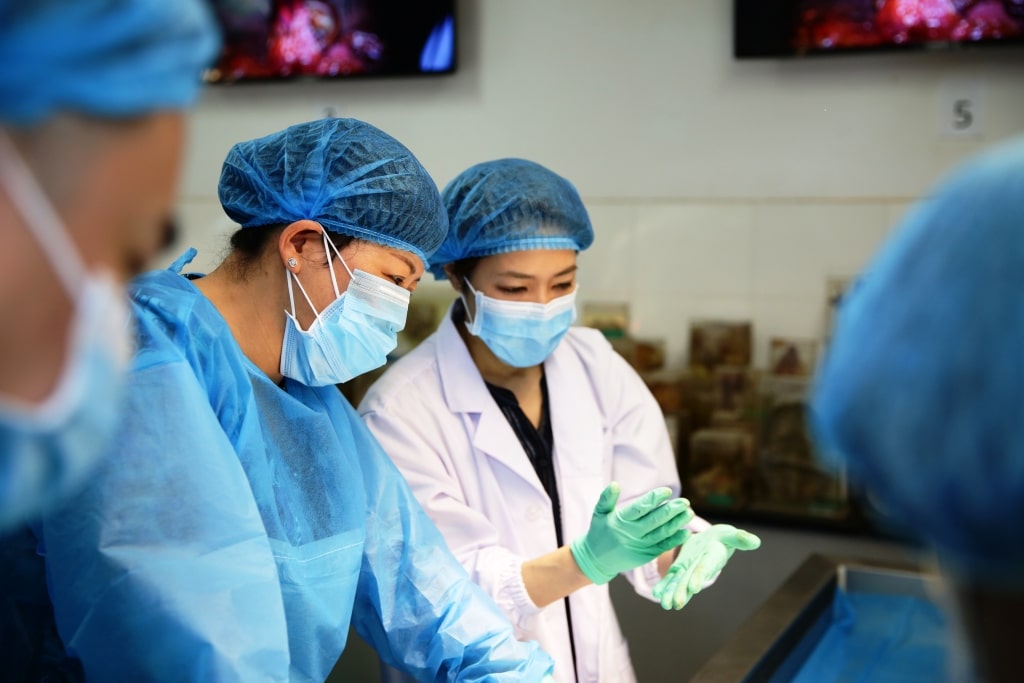 Two people in surgical attire and masks are engaged in a medical procedure, one showing close attention to the hands of the other who is wearing green gloves.