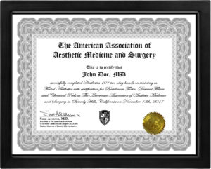 Aesthetics 101 certificate